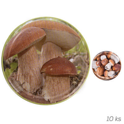 Vícko kov Bio 82 houby 10 ks B